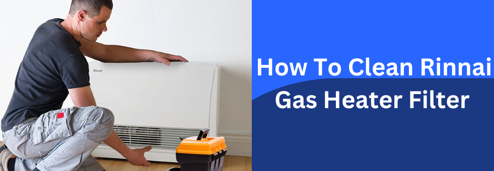 How To Clean Rinnai Gas Heater Filter